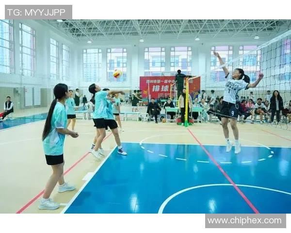 刘军专访：从排球小将到国家队教练的奋斗与回忆