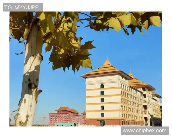 广州排球队的奋斗与崛起：从默默无闻到联赛冠军的辉煌之路