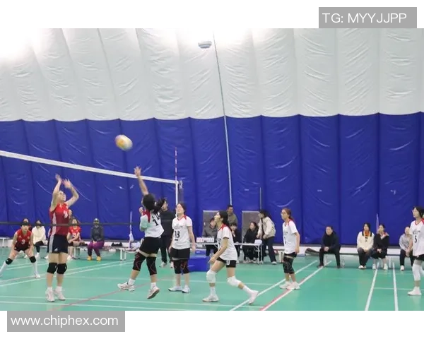 广州排球队在全国排球节奏排行榜中荣获第八名的佳绩引发热议