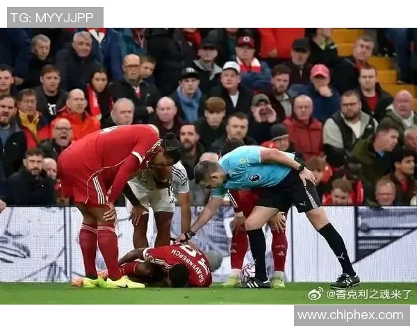 足球明星伊布拉激烈对抗瞬间曝光引发热议与讨论