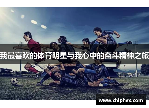 我最喜欢的体育明星与我心中的奋斗精神之旅