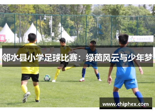 邻水县小学足球比赛：绿茵风云与少年梦